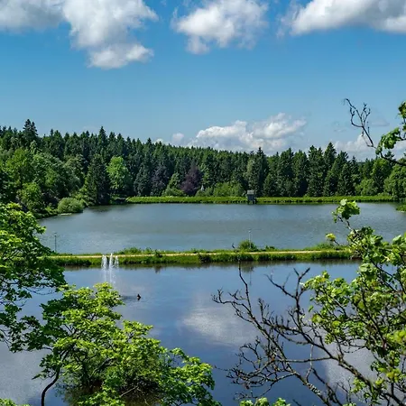 Harz *